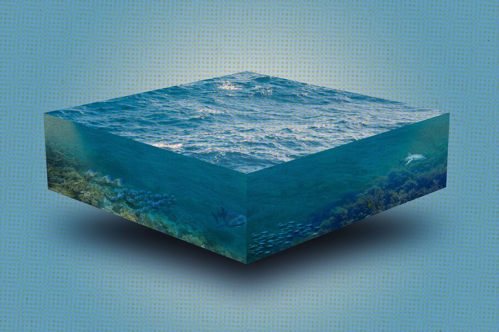 How much water is an acre-foot?